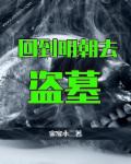 小说：回到明朝去盗墓，作者：宋家小二