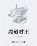 小说：魔道君王，作者：西瓜尊者