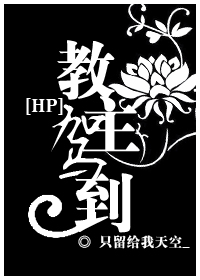 小说：HP之教主驾到，作者：只留给我天空