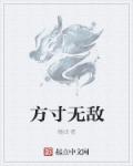 小说：方寸无敌，作者：瞳战