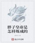 小说：胖子皇帝是怎样炼成的，作者：黑哥哥