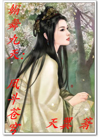 小说：媚舞九天：凤斗苍穹，作者：天翼