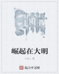 小说：崛起在大明，作者：小官儿