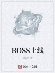 小说：BOSS上线，作者：道西风