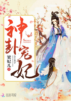 小说：神卦宠妃，作者：梁妃儿