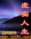小说：虚实人生，作者：暴风雨中