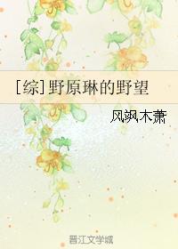 小说：[综]野原琳的野望，作者：风飒木萧