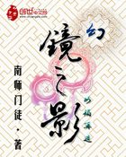 小说：幻镜之影，作者：南师门徒