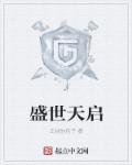 小说：盛世天启，作者：正经的包子