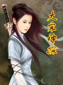 小说：大宋神探，作者：夜明珠