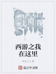 小说：西游之我在这里，作者：笔划人生