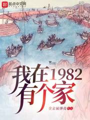 小说：我在1982有个家，作者：全金属弹壳