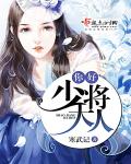 小说：你好，少将大人，作者：寒武记
