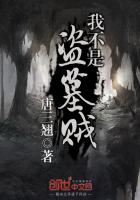 小说：我不是盗墓贼，作者：唐三翘