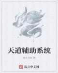 小说：天道辅助系统，作者：意外来客