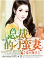 小说：爱不释手，总裁的刁蛮妻，作者：christina35373