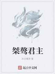 小说：桀骜君主，作者：冰点毒酒