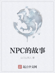 小说：NPC的故事，作者：山口山同人