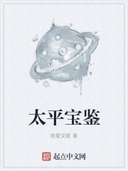 小说：太平宝鉴，作者：我爱叉姬