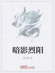 小说：暗影烈阳，作者：战炎颜