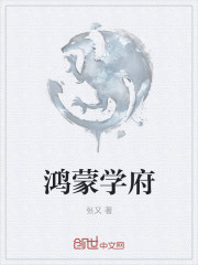 小说：鸿蒙学府，作者：张又