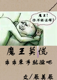 小说：魔王莫慌，作者：辰美辰