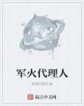 小说：军火代理人，作者：愤怒的孤独