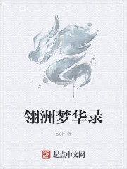 小说：翎洲梦华录，作者：SoF