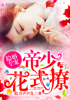 小说：隐婚专宠：帝少，花式撩！，作者：临书声声乱