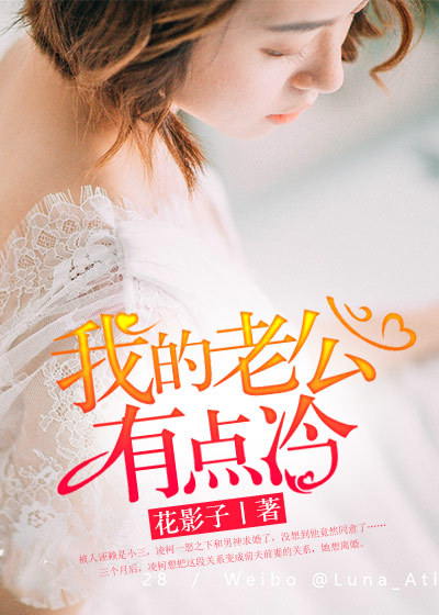 小说：我的老公有点冷，作者：花影子
