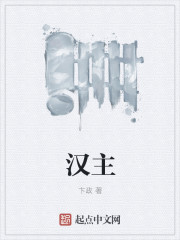 小说：汉主，作者：卞政
