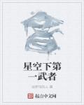 小说：星空下第一武者，作者：说梦话的人