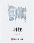 小说：明柱，作者：见微知