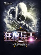 小说：狂狼兵王，作者：忧郁的仓鼠