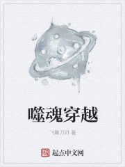 小说：噬魂穿梭，作者：飞舞刀刃