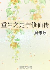 小说：重生之楚宁修仙传，作者：卿未眠