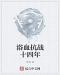 小说：浴血抗战十四年，作者：贰酒