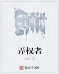 小说：弄权者，作者：灵隐子