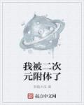 小说：我被二次元附体了，作者：滑稽大佬