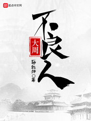 小说：大周不良人，作者：一袖乾坤