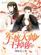 小说：第一宠婚：军统大帅，干掉你，作者：梁妃儿