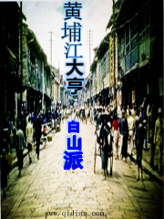 小说：黄埔江大亨，作者：白山派