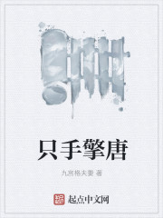 小说：只手擎唐，作者：九宫格夫妻