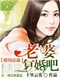 小说：绯闻总裁，老婆复婚吧！，作者：十里云裳
