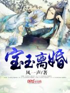 小说：宝玉离婚，作者：风一声