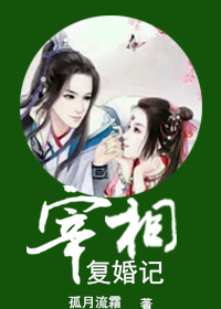 小说：宰相复婚记，作者：孤月流霜