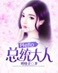 小说：Hello，总统大人！，作者：明晓音