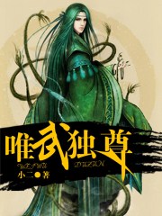 小说：唯武独尊，作者：小二