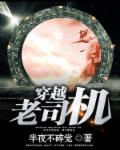 小说：穿越老司机，作者：半夜不碎觉