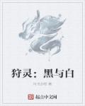 小说：狩灵：黑与白，作者：时光沙粒